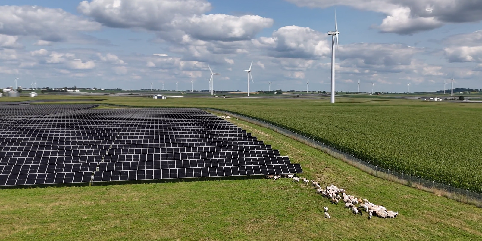 ACCIONA and ACCIONA Energía ranked among Europe’s 50 most sustainable companies by Corporate Knights