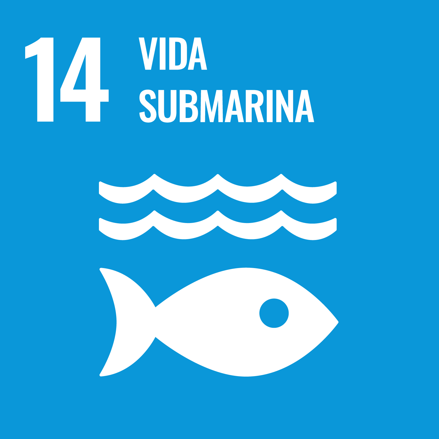 Imagen ODS 14 Vida submarina