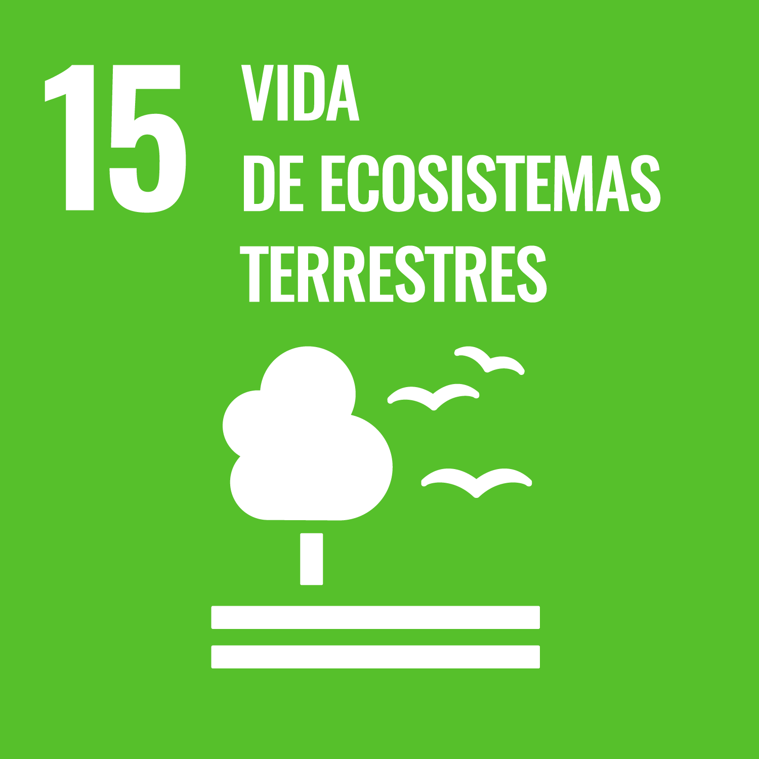 Imagen ODS 15 Vida de ecosistemas terrestres