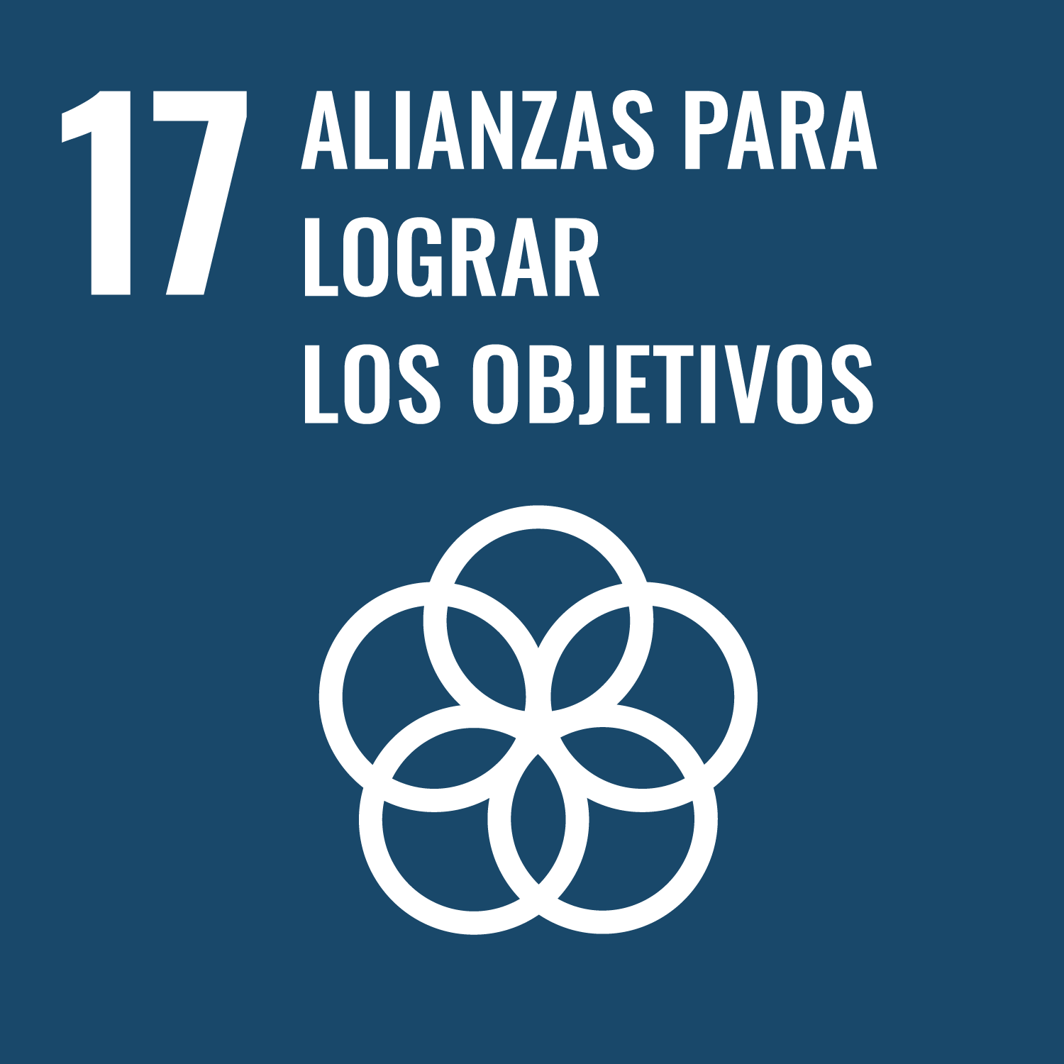 Imagen ODS 17 Alianzas para lograr los objetivos