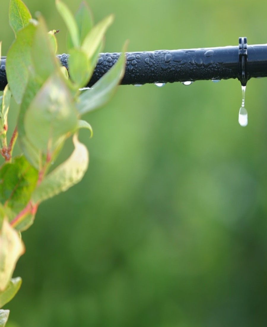 Agua para la agricultura