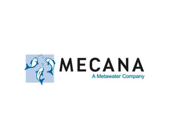 Mecana logo