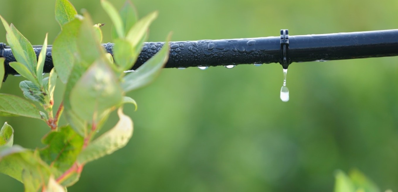 agua para la agricultura