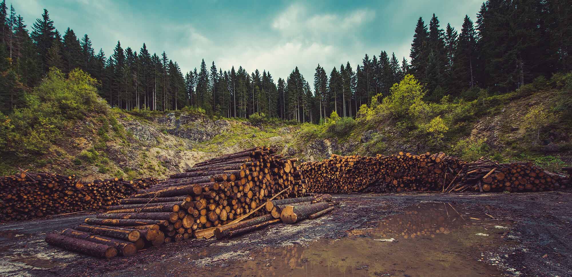 Qué es el Cambio Climático y cómo nos afecta? | ACCIONA