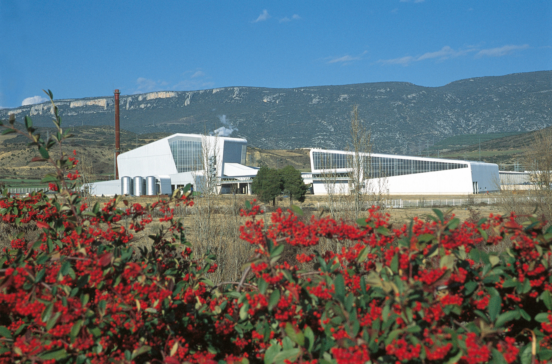 Planta biomasa Sangüesa