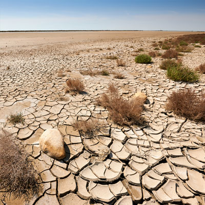 Cambio en los ecosistemas y desertificación