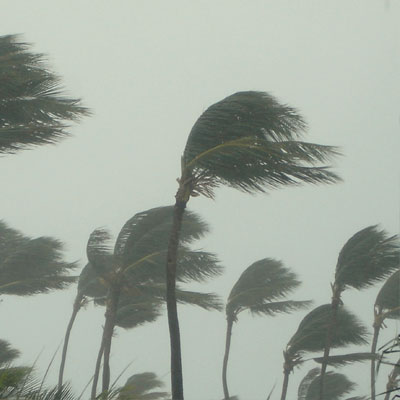 Extreme weather phenomena